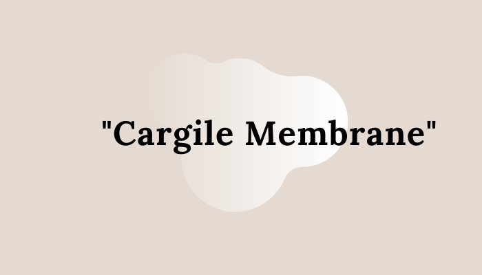Cargile Membrane absorbable suture material
